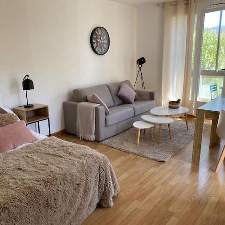 Studio 33 M2 , Climatise, Parking Exterieur Prive Gratuit Amélie-les-Bains-Palalda Zewnętrze zdjęcie