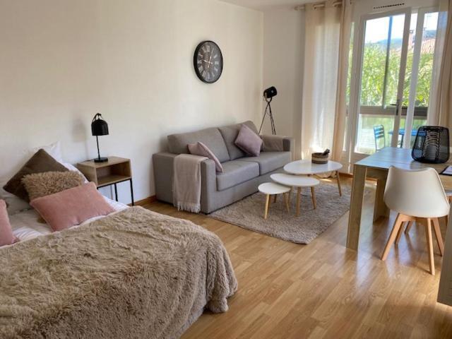 Studio 33 M2 , Climatise, Parking Exterieur Prive Gratuit Amélie-les-Bains-Palalda Zewnętrze zdjęcie