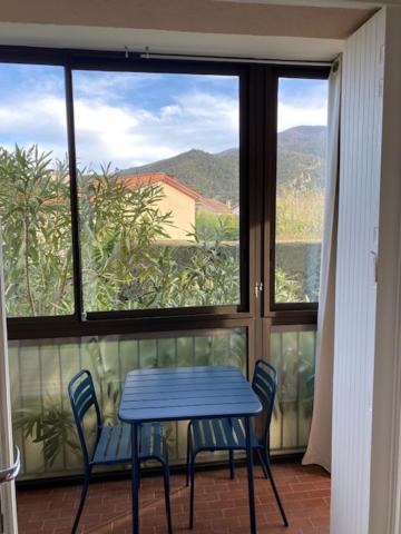 Studio 33 M2 , Climatise, Parking Exterieur Prive Gratuit Amélie-les-Bains-Palalda Zewnętrze zdjęcie